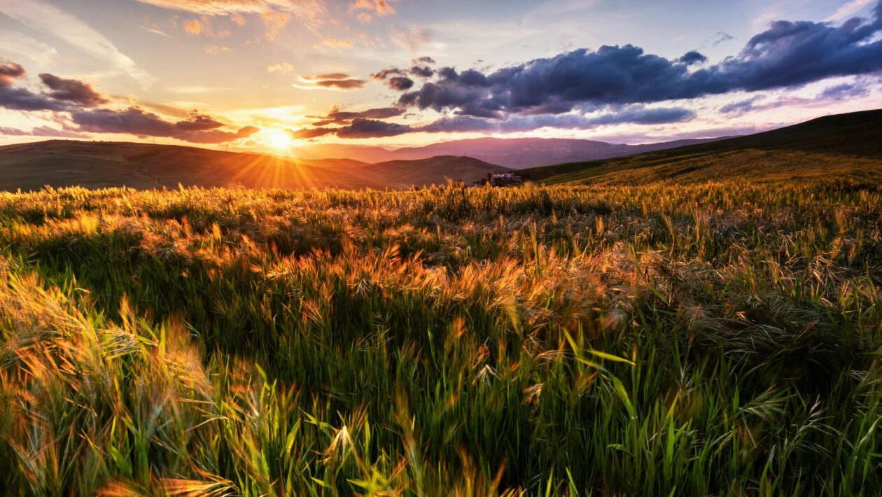 Technologická rovnováha v modernej dobe: Vedomé používanie technológií