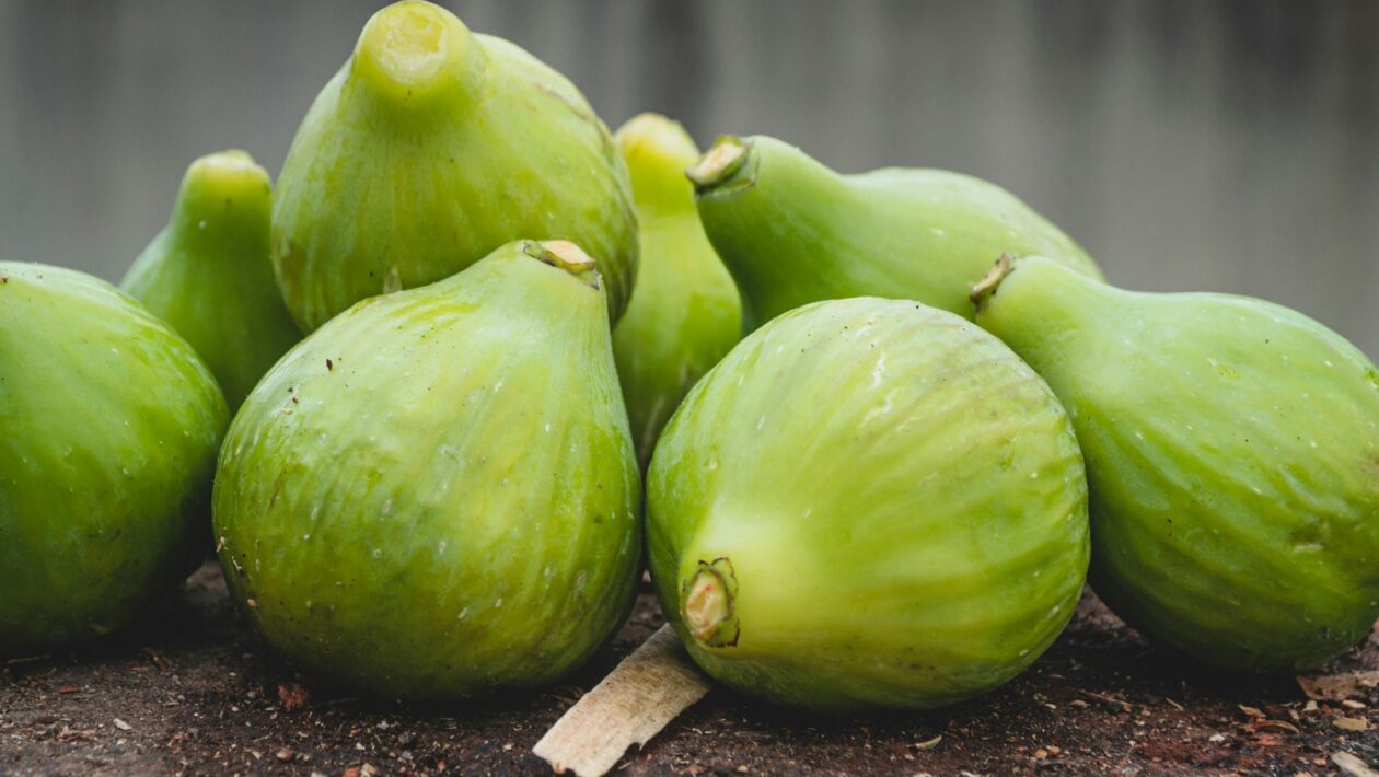 Psychologické benefity ticha a samoty: Regenerácia a kreativita