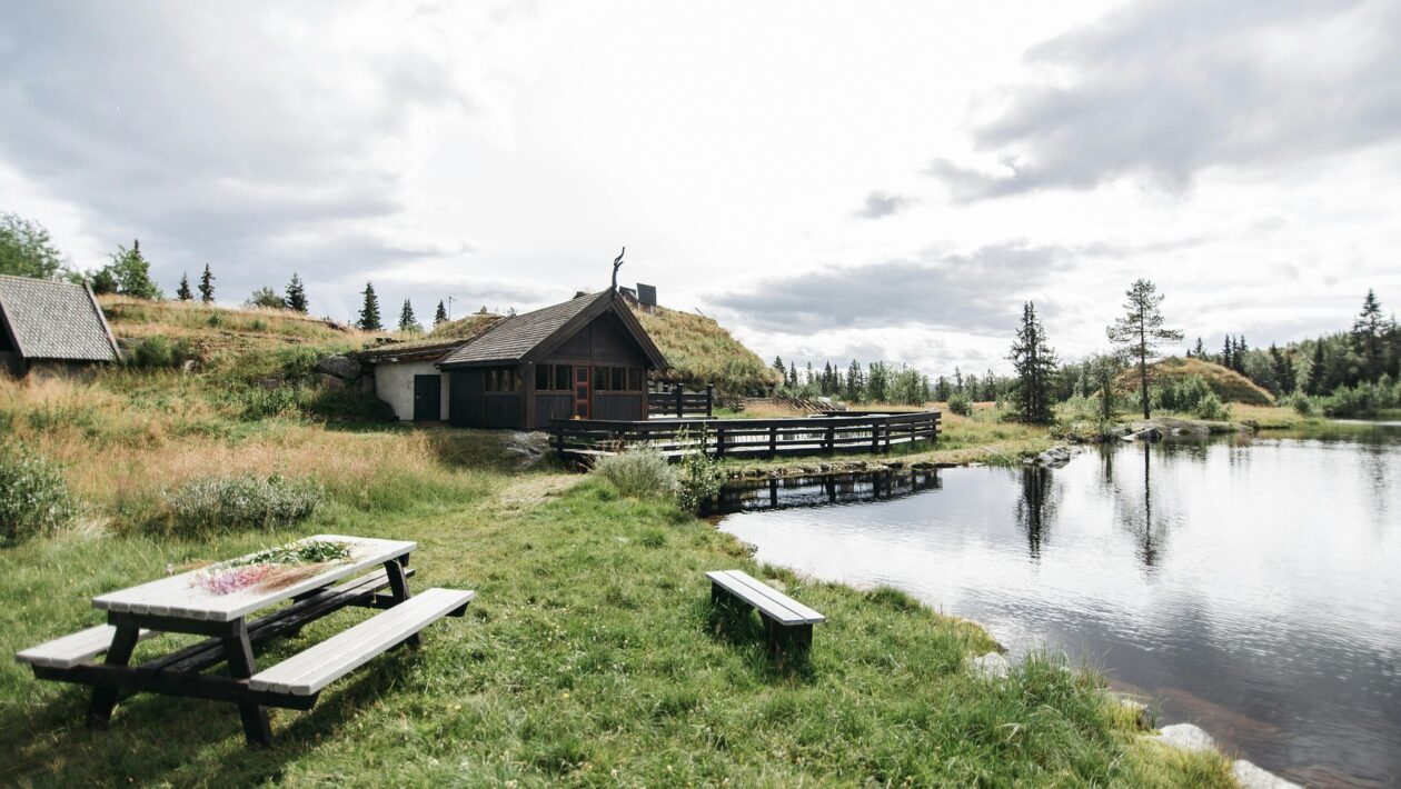 Zloženie črevnej mikroflóry: Diverzita a zdravie