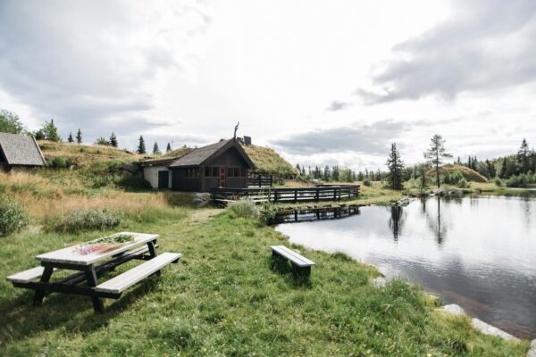 Zloženie črevnej mikroflóry: Diverzita a zdravie