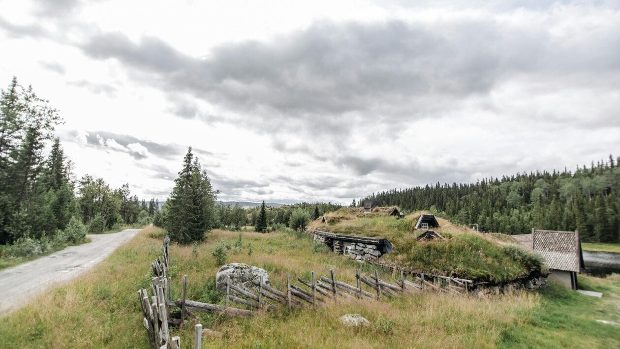 Úloha mikrobiomu v imunite a metabolizme: Gut-brain axis