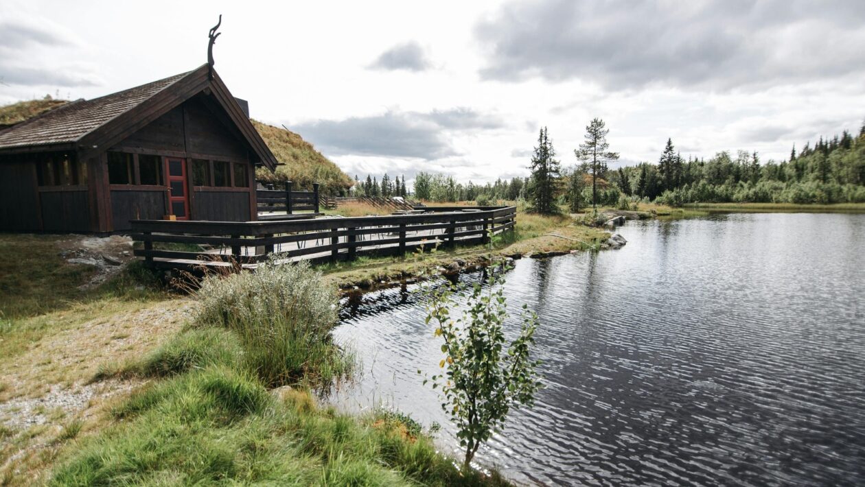 Probiotiká, prebiotiká a fermentované potraviny: Podpora mikrobiomu