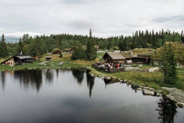 Antioxidanty a ich úloha v ochrane buniek: Voľné radikály a oxidačný stres