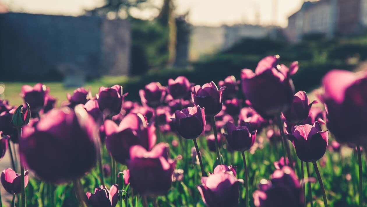 Rozpoznávanie spúšťačov prejedania: Identifikácia vzorcov