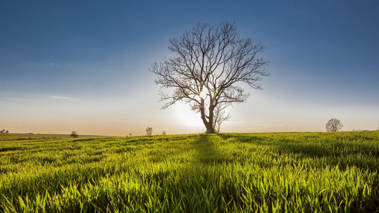 Prepojenie emócií, stresu a výživy: Psychoneuroimunológia