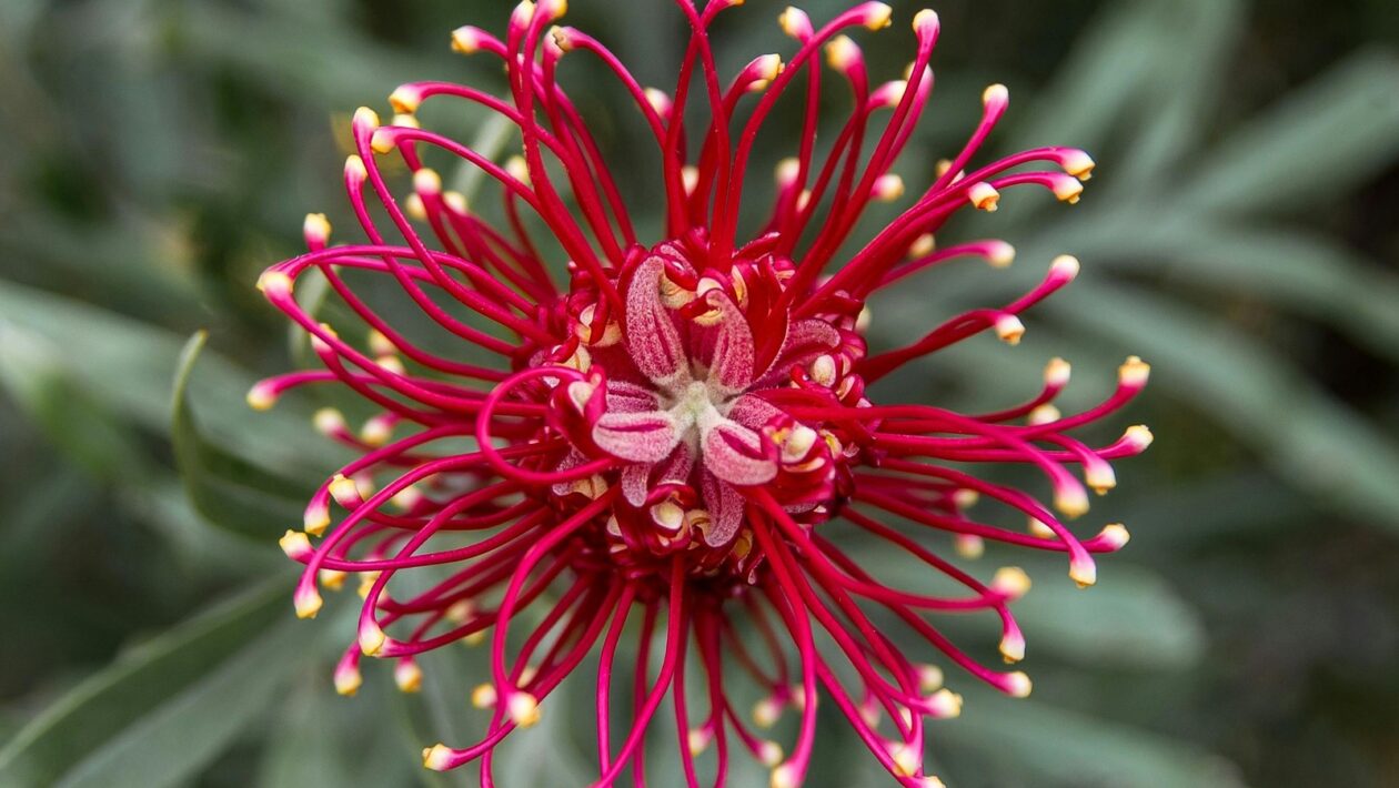 Kľúčová rola hydratácie a presné riadenie elektrolytovej rovnováhy