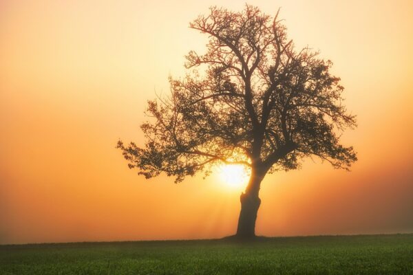 Od chuti k zážitku: Estetika jedla a princípy modernej gastronómie
