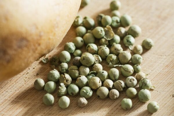 Environmentálna stopa potravín: Meranie a znižovanie ekologickej zodpovednosti