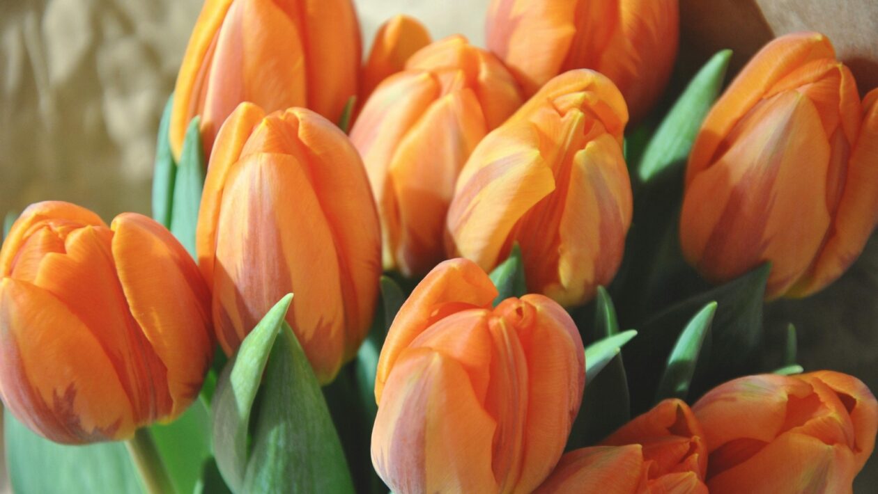 Paradigma nulového odpadu: Synergia zero waste prístupu a lokálnych potravín