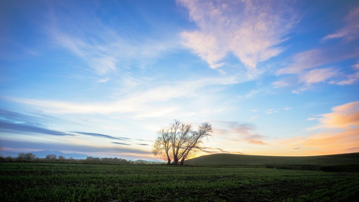 Agro-ekologické systémy: Udržateľné poľnohospodárstvo a význam sezónneho stravovania