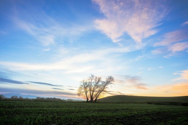 Agro-ekologické systémy: Udržateľné poľnohospodárstvo a význam sezónneho stravovania