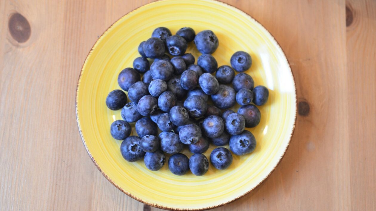 Inovácie vo výžive: Rastlinné alternatívy, laboratórne potraviny a budúcnosť stravovania