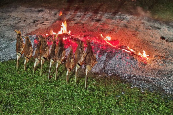 Úspešné Zemplínske lakocinky, rodinná jeseň pokračuje